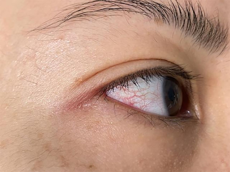 1765986066327515.jpg 11-18-2.jpg