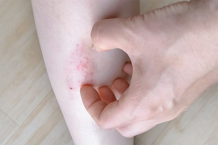 1765986132337156.jpg 9-28-4.jpg